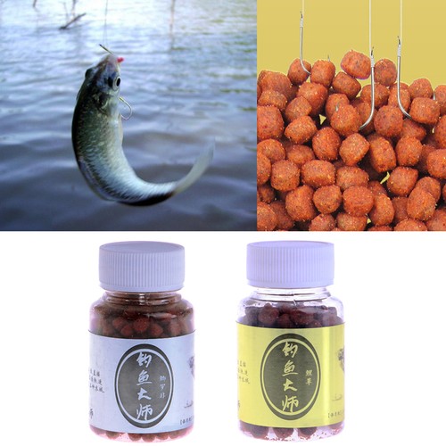 carp fishing bait